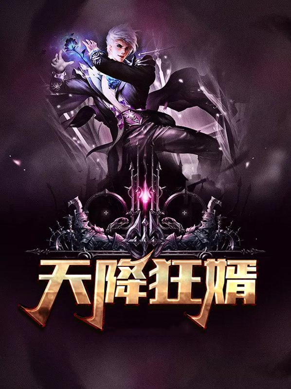 天降狂婿陈丰