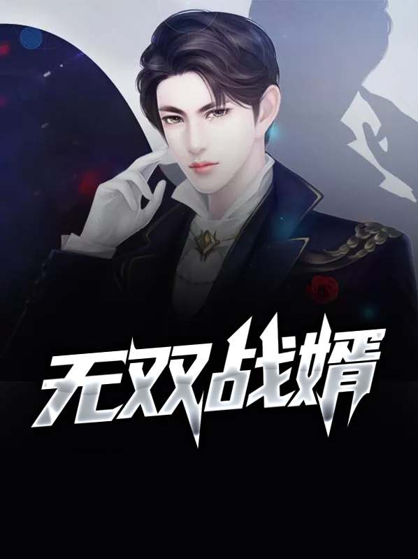 无双战婿秦风林雨晴小说