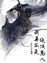 我真不是绝顶高人叶凡小说免费