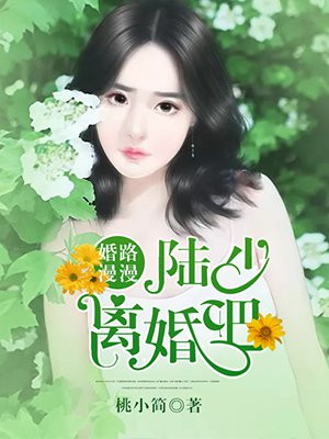 婚途漫漫陆少求放过免费阅读