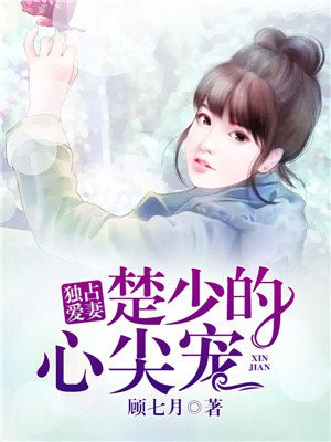 独占爱妻入骨第一冷少全文免费