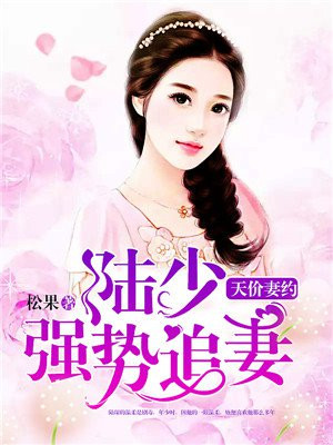 天价宠婚,陆少的暖婚甜妻