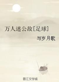 万人迷公敌[足球]txt