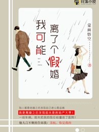 我可能离了个假婚小说