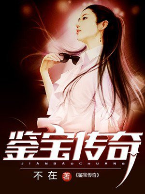 鉴宝传奇 小说