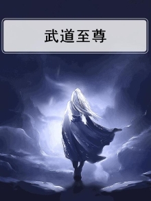 武道至尊
