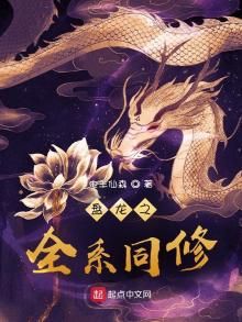 盘龙之txt