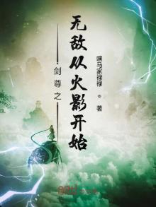 无敌剑尊小说