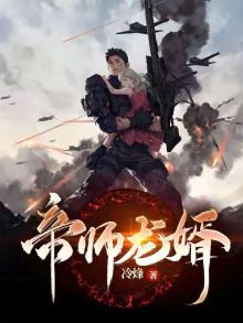 帝师龙婿 火火火