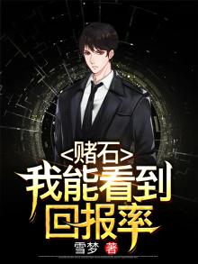 赌石：我能看到回报率
