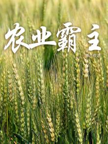 农业走向
