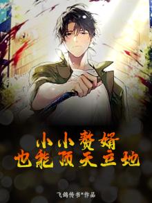 小小赘婿