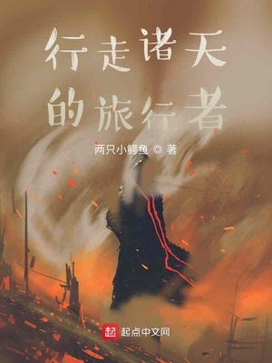 行走诸天的旅行者txt