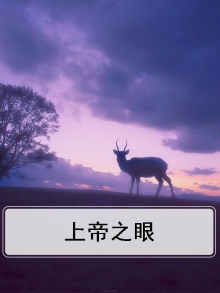 上帝之眼光明会