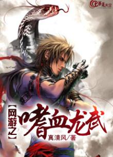 网游之嗜血龙武 真清风