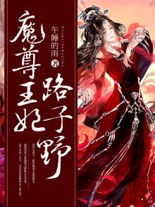 这个王妃路子野免费阅读全文