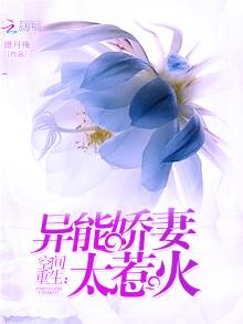 空间重生异能娇妻太惹火 txt