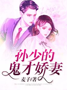 孙少爷是什么电视剧