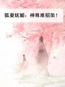 神狐帝师小说