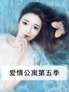爱情公寓第五季