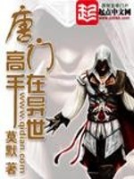 唐门高手在异世女主角有几个