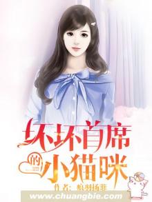 坏坏猫搜说 小说