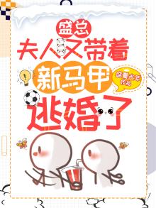 小说盛总夫人又去败家了免费下载
