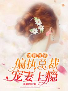 蚀骨暖婚:偏执总裁极致宠 小说