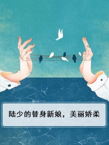 陆少的替身新娘,美丽娇柔小说