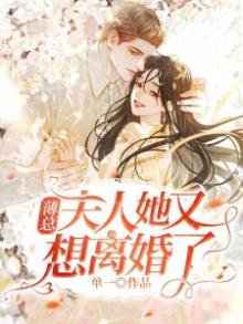 薄总,夫人她又想离婚了