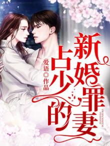 占少的新婚罪妻全文免费阅读一胎三,总裁爹的