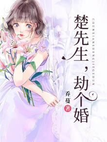 楚先生劫个婚