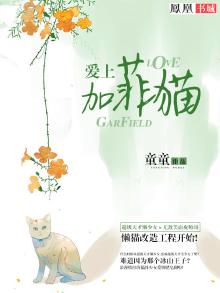 爱上加菲猫