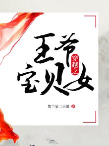 穿越之王爷宠妃