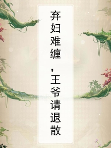 弃妇难缠,王爷请退散