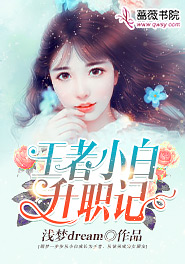 王者小白升职记