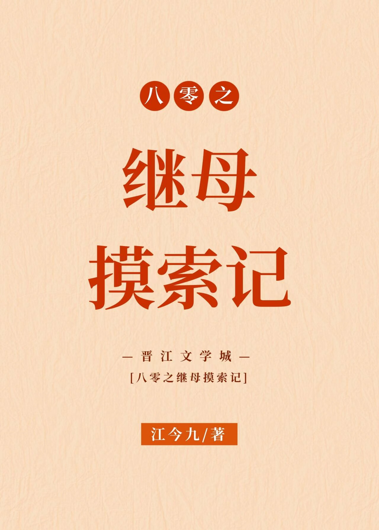 八零小后妈