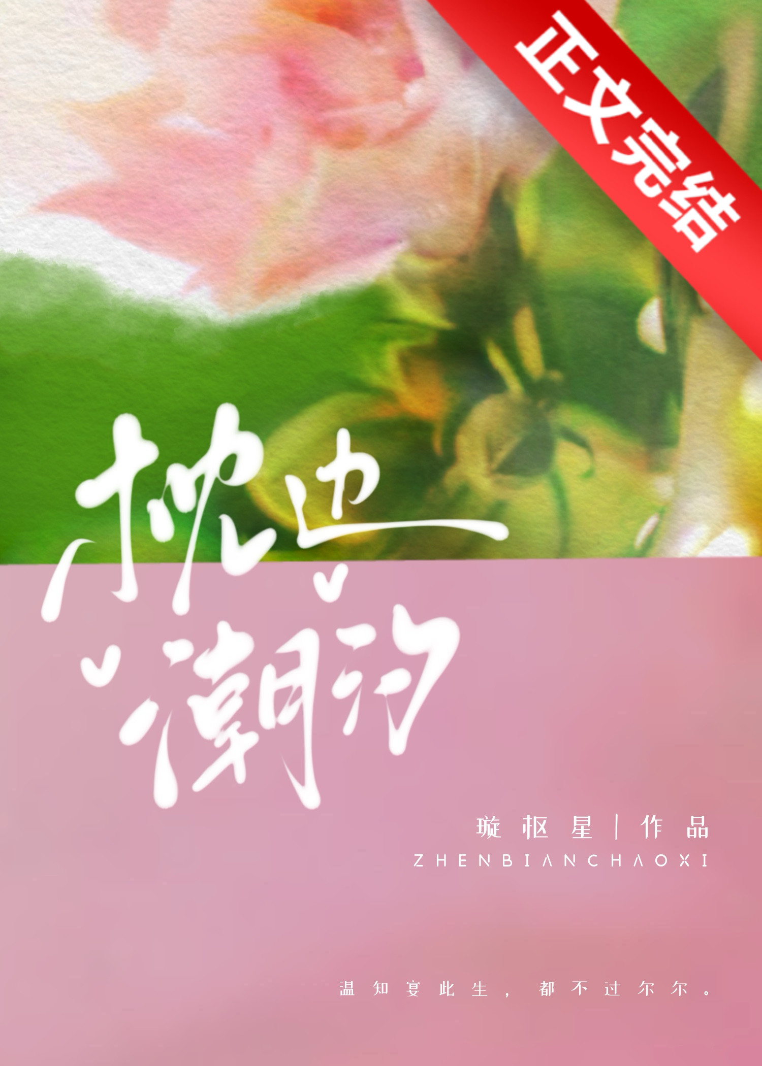 枕边潮汐璇枢星免费阅读