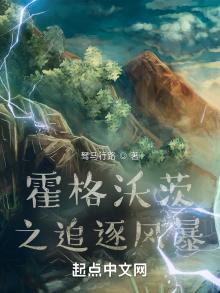 霍格沃茨之追逐风暴起点中文
