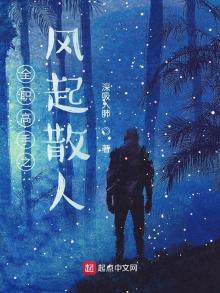 全职高手之全职陪练