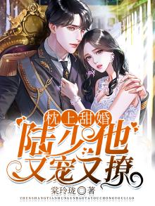 枕上婚宠陆青