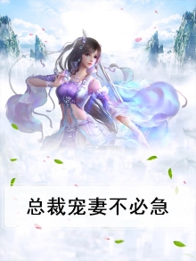 总裁宠妻不必急