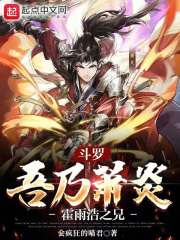 斗罗:吾乃萧炎,霍雨浩之兄小说