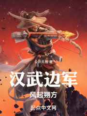 汉武边军风起朔方小说