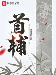 首辅每天要不够po