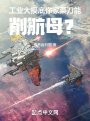 工业大摸底,你家菜刀能削航母笔趣阁