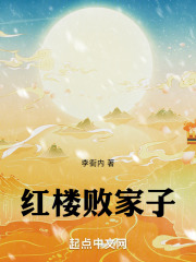 红楼败家子