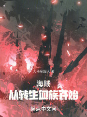 从海贼开始转动 小说