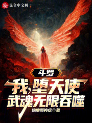 斗罗之我的武魂是堕落天使