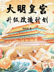 大明皇宫升级改造计划全文免费阅读